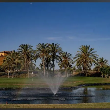 Oasis